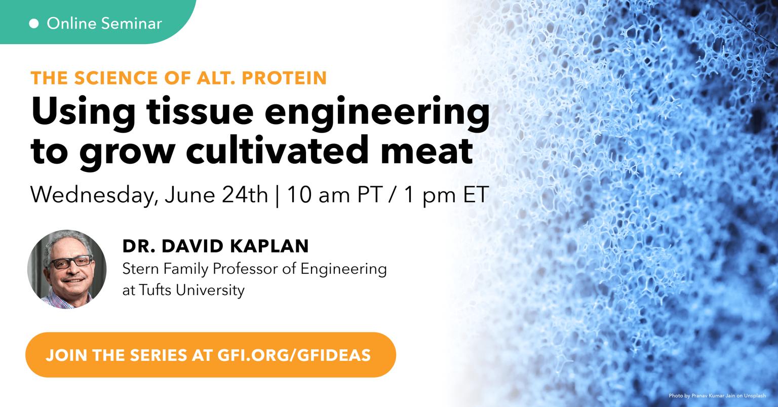 Using tissue engineering to grow cultivated meat | Events | Protein Report