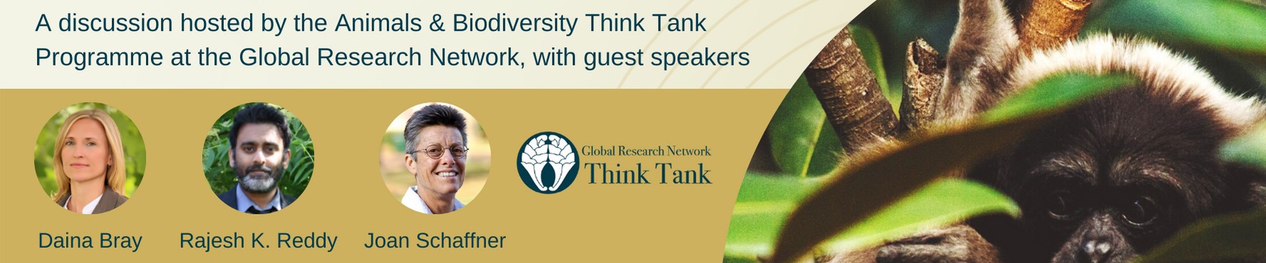A Convention on Animal Protection to Prevent Future Pandemics | Events ...